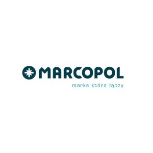 Wkręty ciesielskie do drewna - Producent elementów złącznych - Marcopol